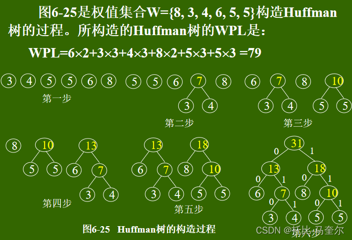 树和森林及哈夫曼树