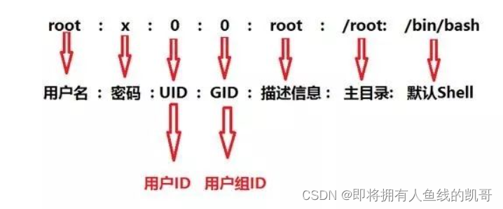 Linux账号及权限管理_查看哪些uid是普通用户的linux文件是-CSDN博客