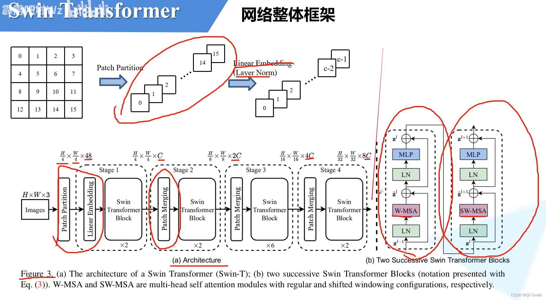 SwinTransformer网络架构_transformer msa-CSDN博客