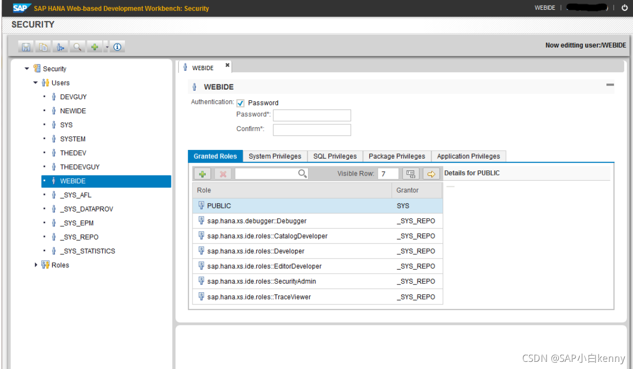 SAP HANA 基于Web的IDE的配置及使用_idea连接hanaCSDN博客