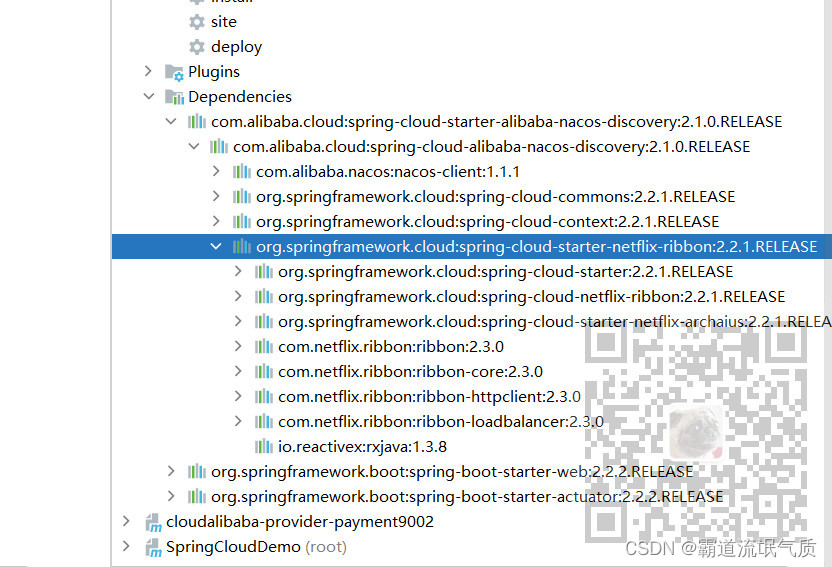 SpringCloudAlibaba中使用Nacos实现服务注册与发现(从实例入手)