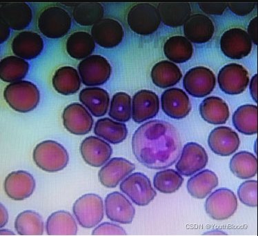 请添加图片描述