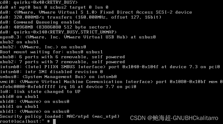 freeBSD:（虚拟机和实体机）官网下载——安装