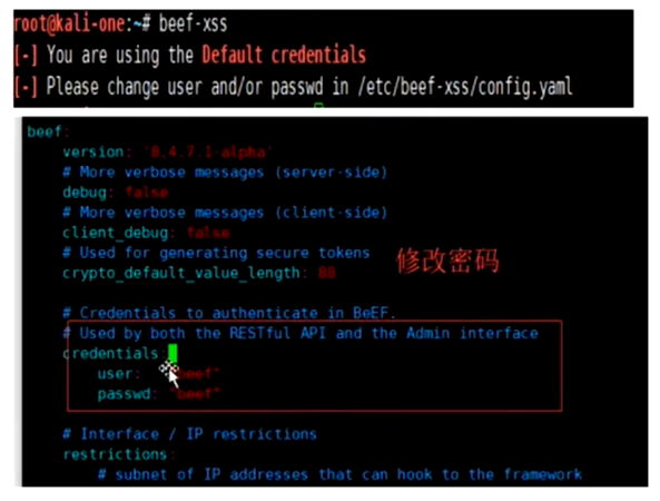 XSS漏洞初步学习、深度利用_xsspt-CSDN博客