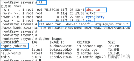 在这里插入图片描述