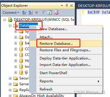 wincc数据库的导入和导出操作_经典wincc导出数据库-CSDN博客