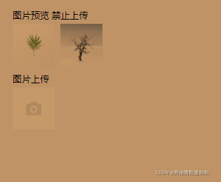 请添加图片描述