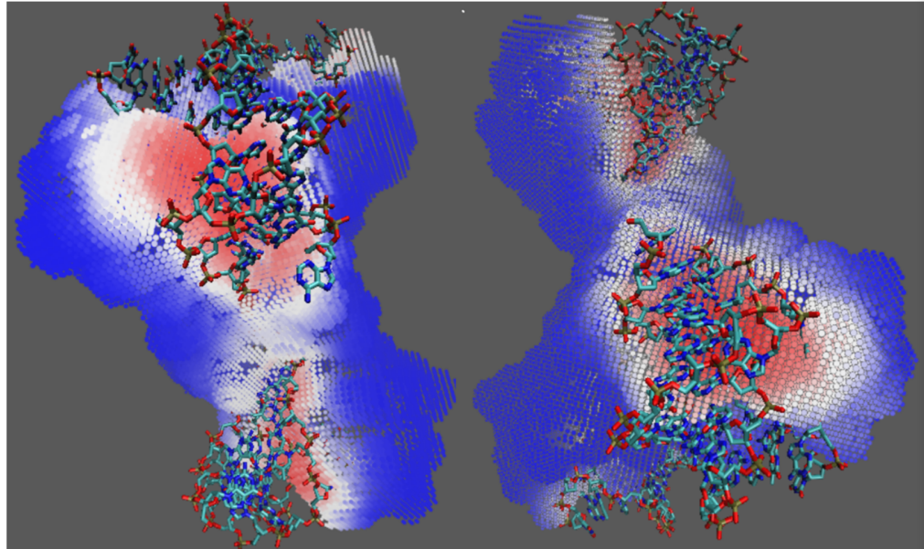 论文解读《DNA Binding Site Prediction Using a Deep Learning Method》-CSDN博客
