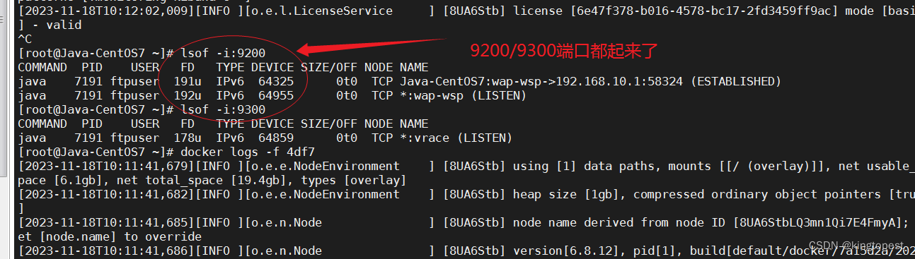 解决docker运行elastic服务端启动不成功