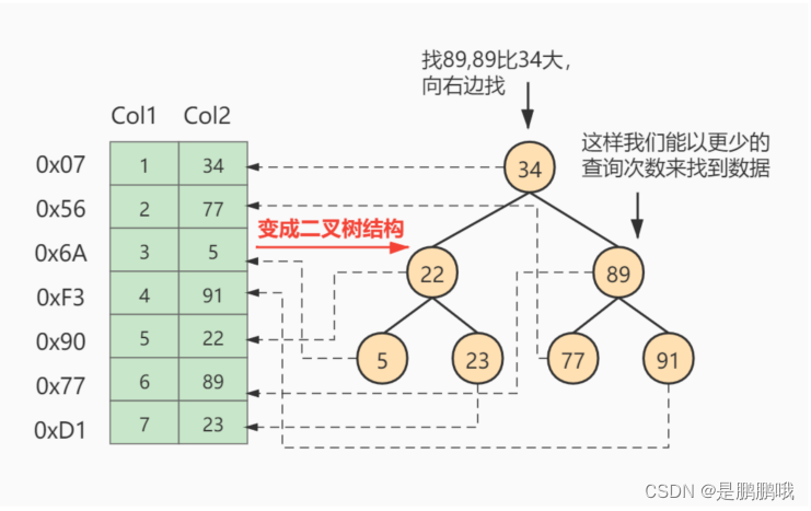 二叉树