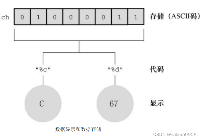 C语言入门篇——数据篇