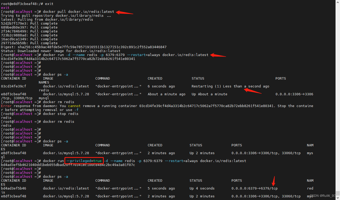 docker容器一直在restarting