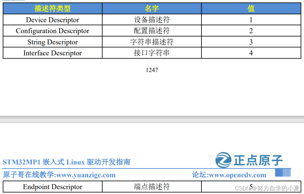 USB设备常用描述符