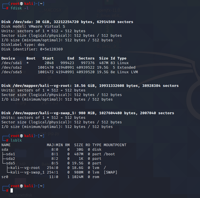 查看磁盘和块信息