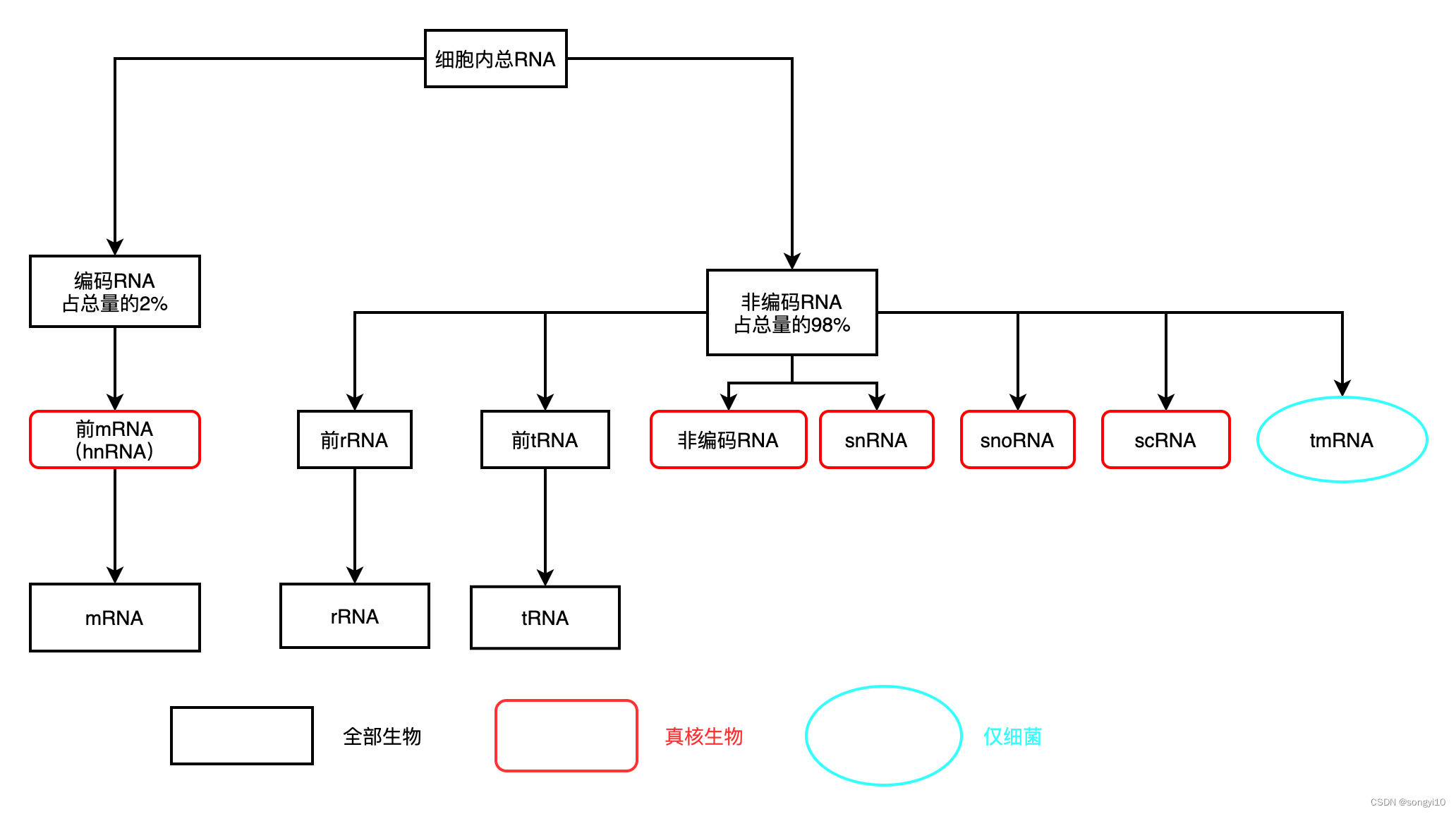 RNA分类