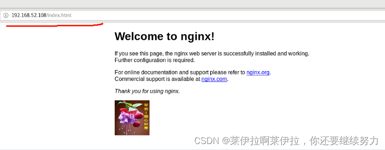 nginx系统优化和内核优化