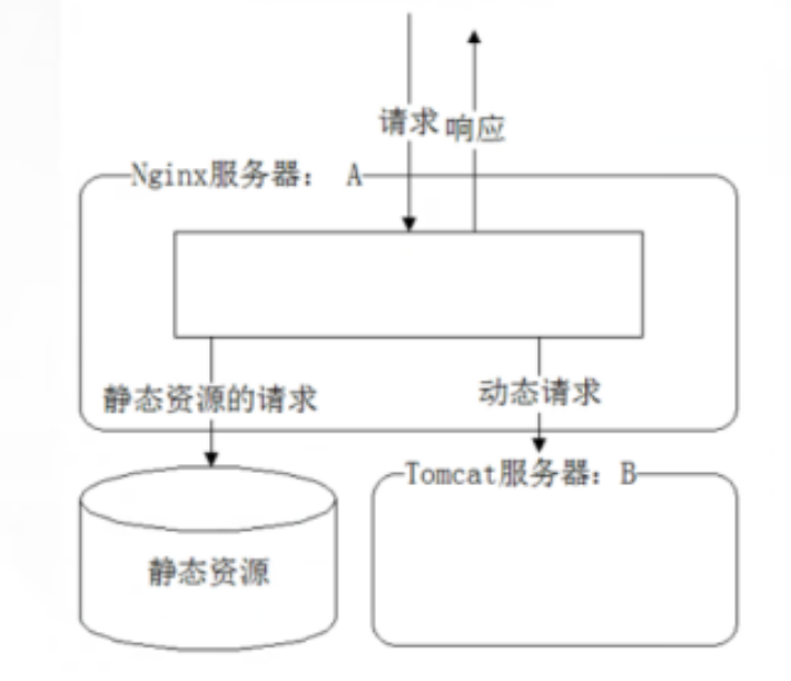 服务（第十篇）Nginx和tomcat反向代理（动静分离）