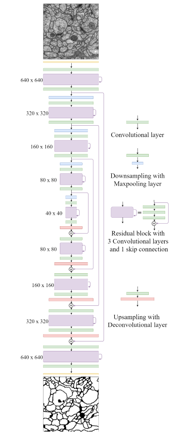 U-Net——《U-Net: Convolutional Networks for Biomedical Image Segmentation》（MICCA 2015)