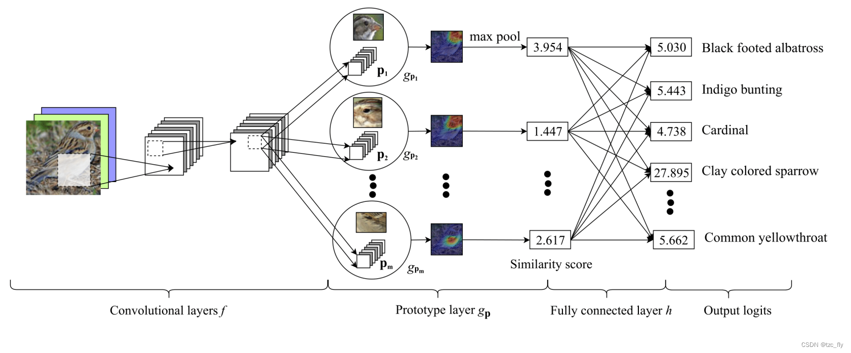 fig2