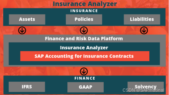 SAP Insurance Analyzer