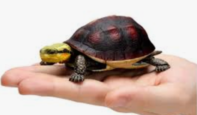 在这里插入图片描述 在这里插入图片描述