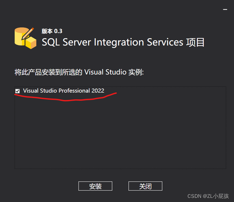 SQL Server SSIS的安装