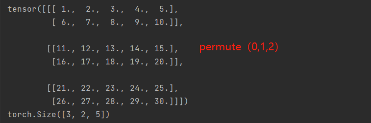 torch permute