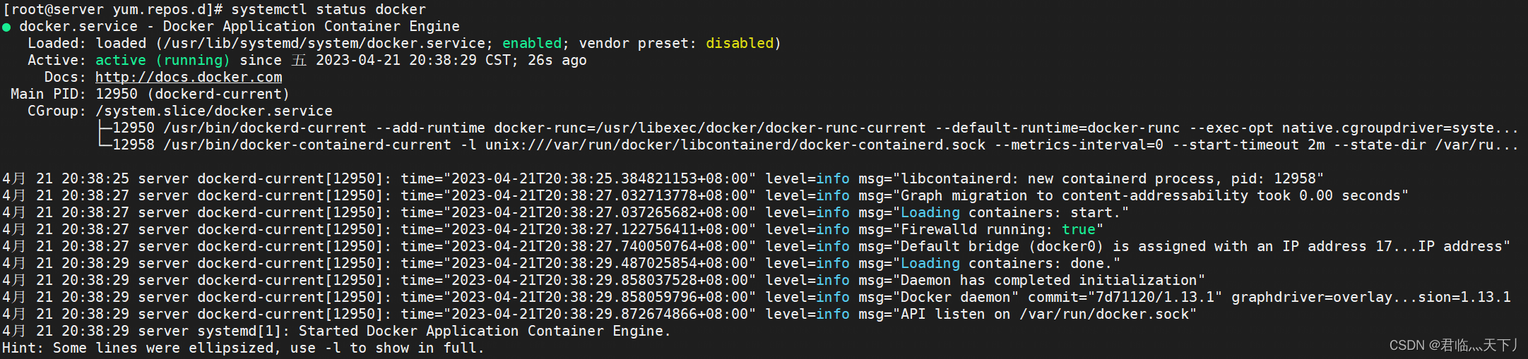 docker运行状态查看