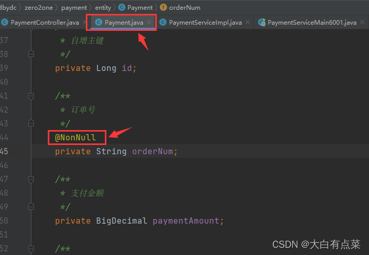 Payment实体类的 orderNum 字段添加 @NonNull 校验注解