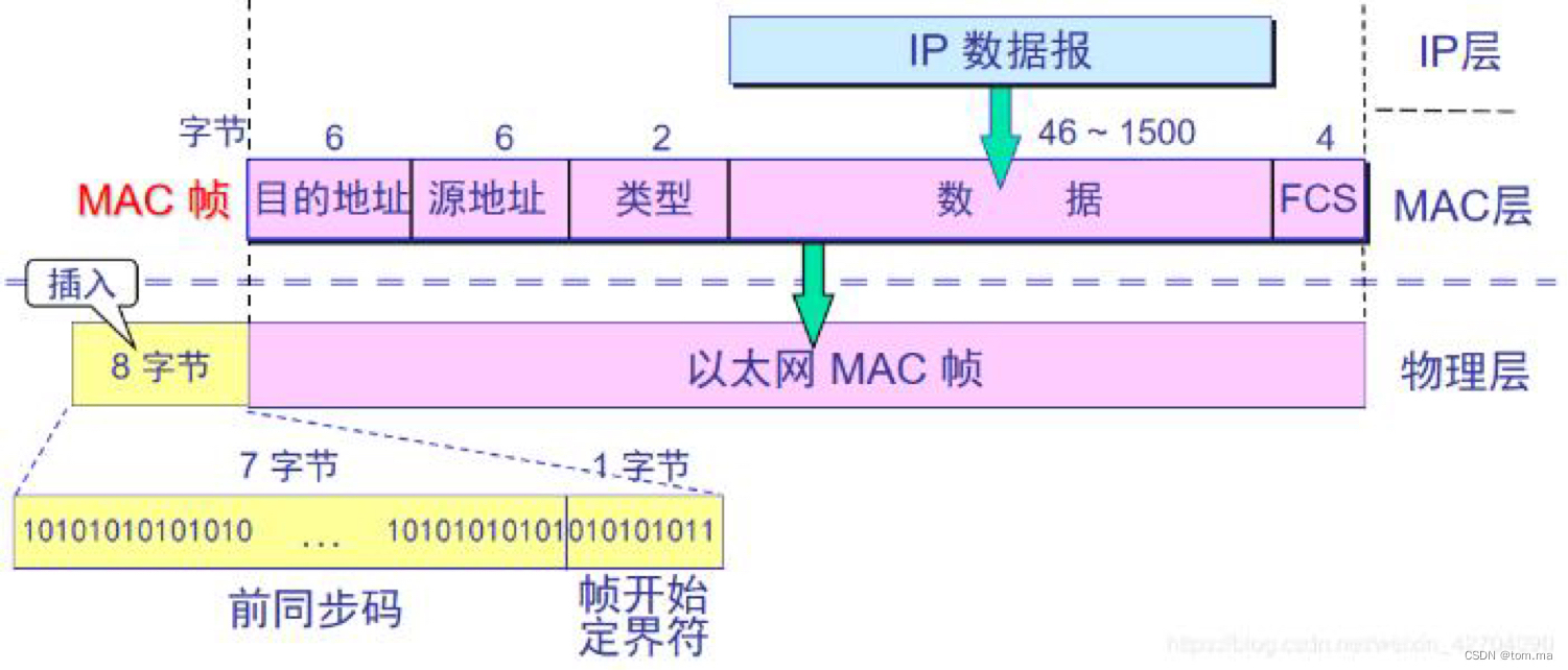 数据链路层：Ethernet以太网协议