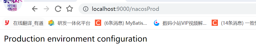 Nacos 集群 Nginx MySql SpringBoot2.x 微服务_04