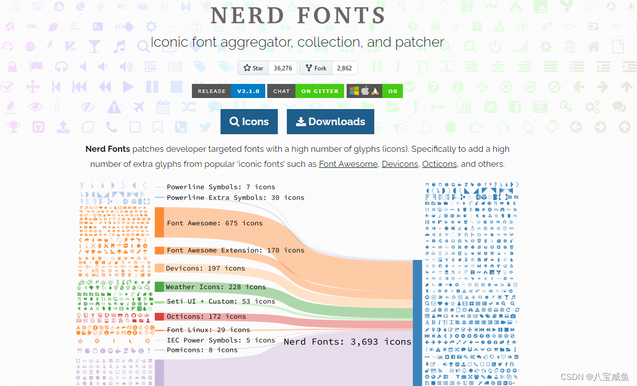 NerdFontsWeb