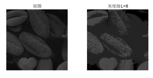 图5. Pollen原图和灰度级L=8转换图