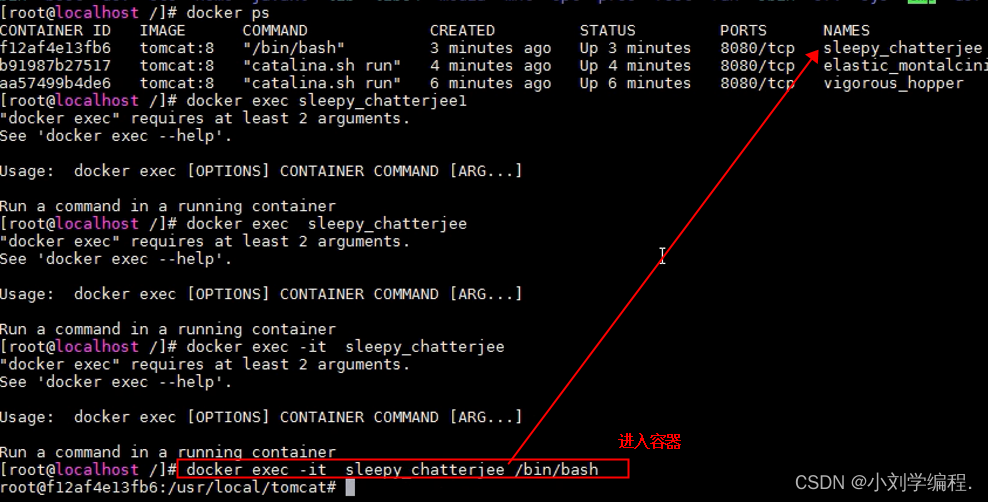 Docker-Docker命令（基本、镜像、容器）_docker Pull 别名-CSDN博客