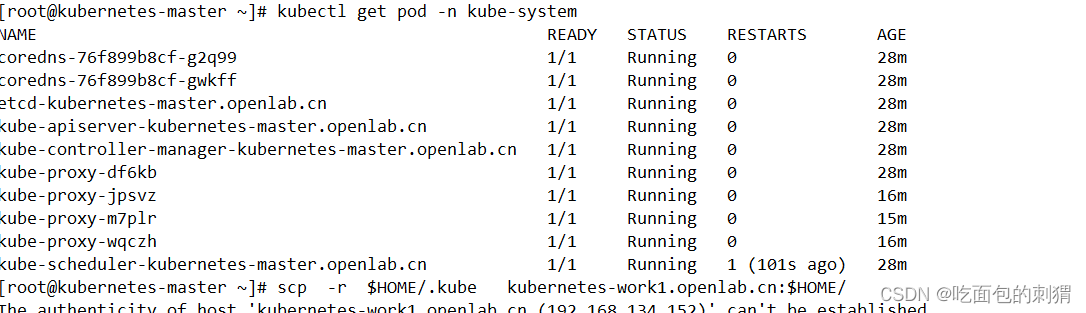 Kubernetes(K8s)基本环境部署