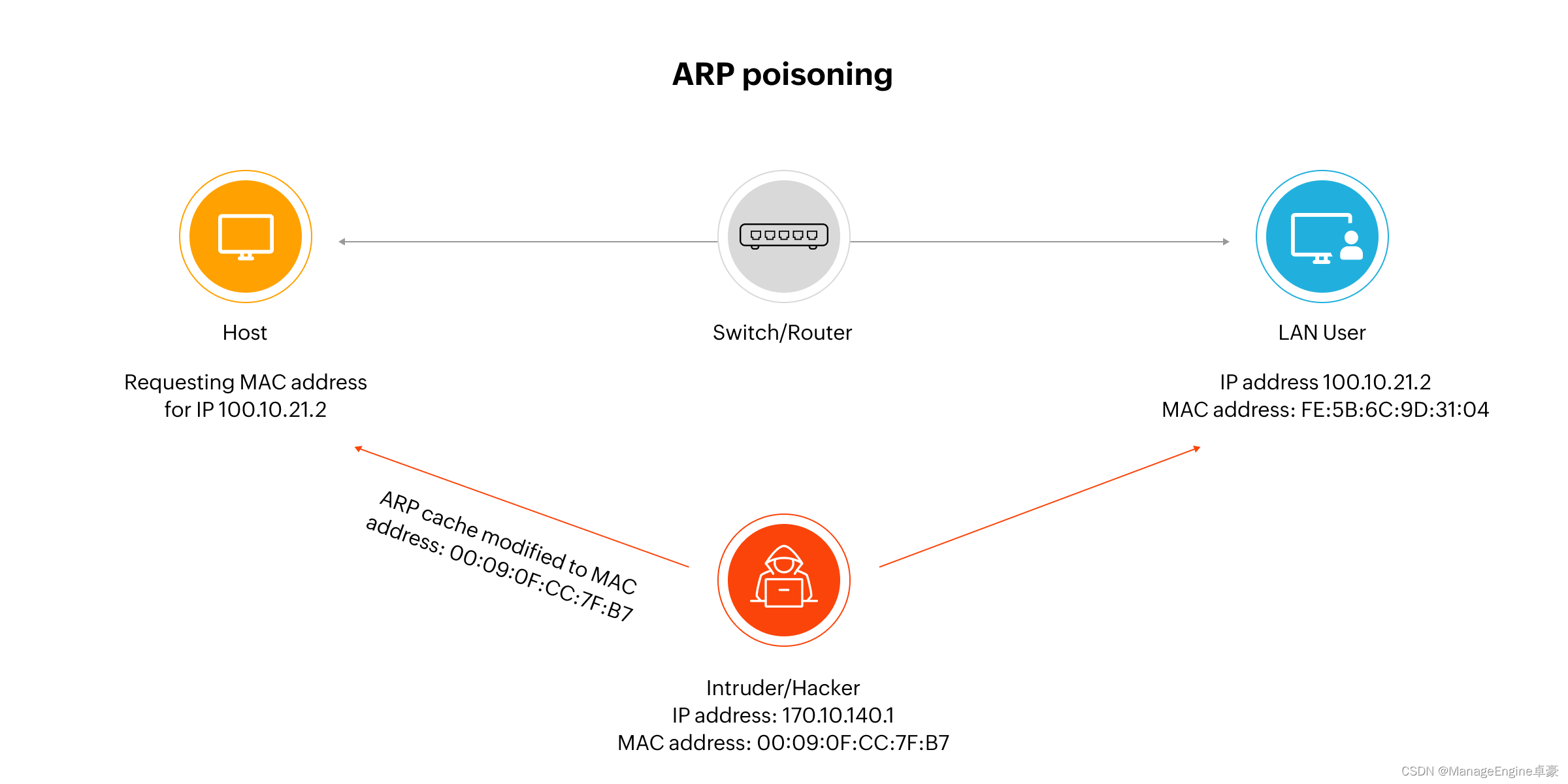 地址解析协议 （ARP）