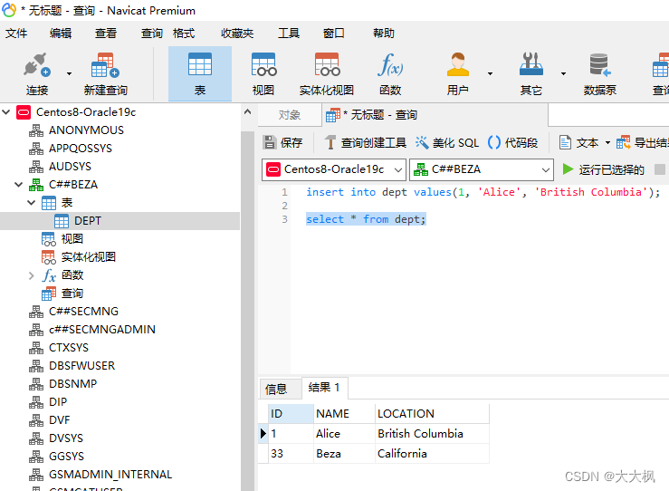 Openssl数据安全传输平台014：OCCI环境搭建和使用：Centos8-Oracle19c代码跑通 + Window代码没跑通（不影响本项目）