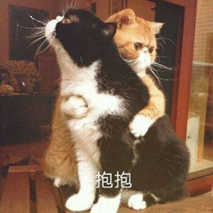 C语言 static的使用