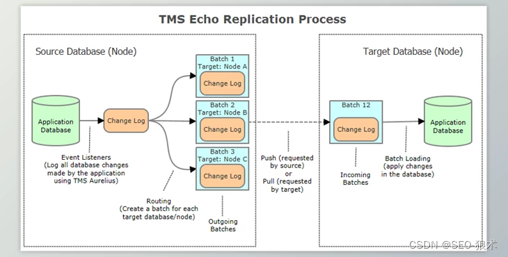 TMS Echo数据复制的Delphi框架