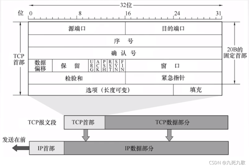 TCP报文段