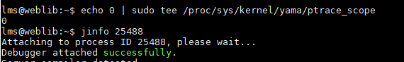 Error attaching to process sun.jvm.hotspot.debugger.DebuggerException cannot open binary file