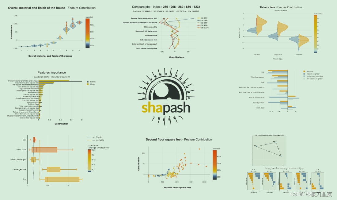 Shapash features