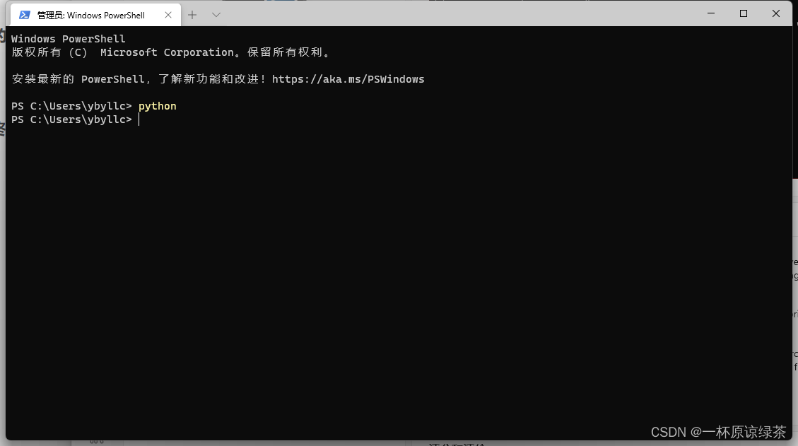 终端运行python后