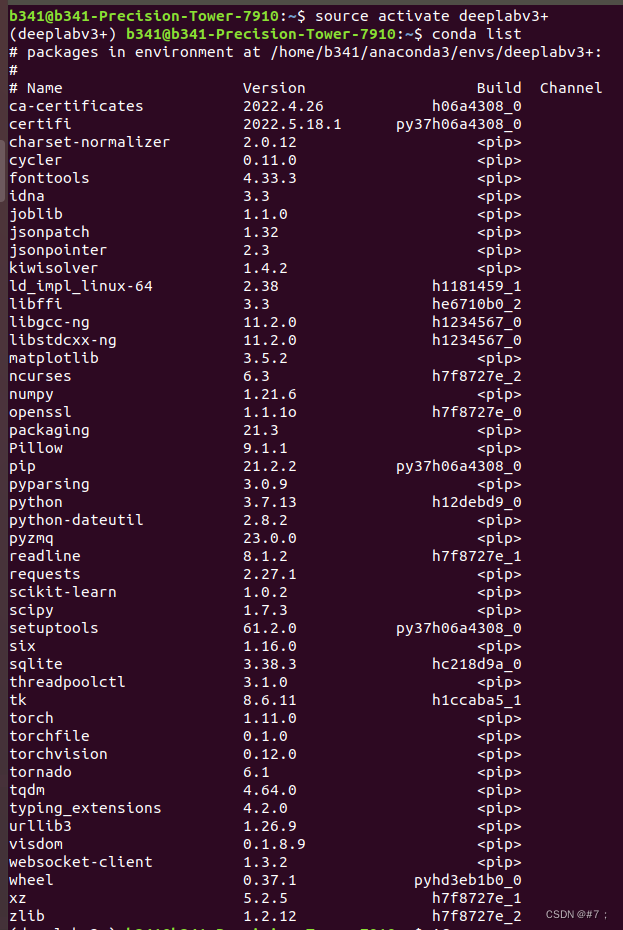 conda list