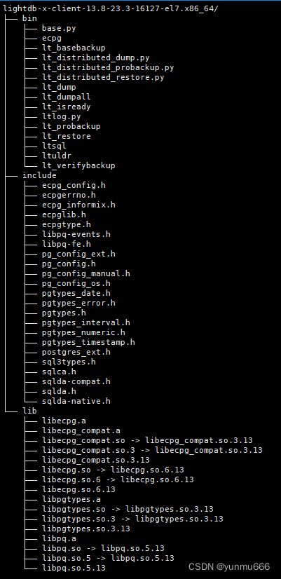 Lightdb23.4 Client 包含ecpg可执行程序及相关库文件