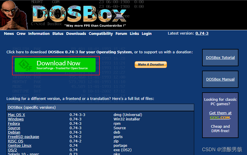 dosbox debugger stuck g flag