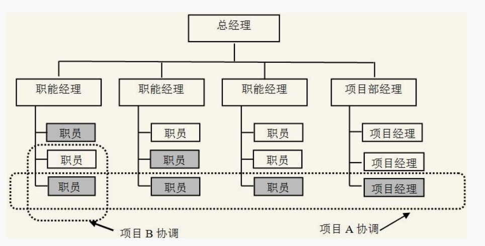 项目的组织结构