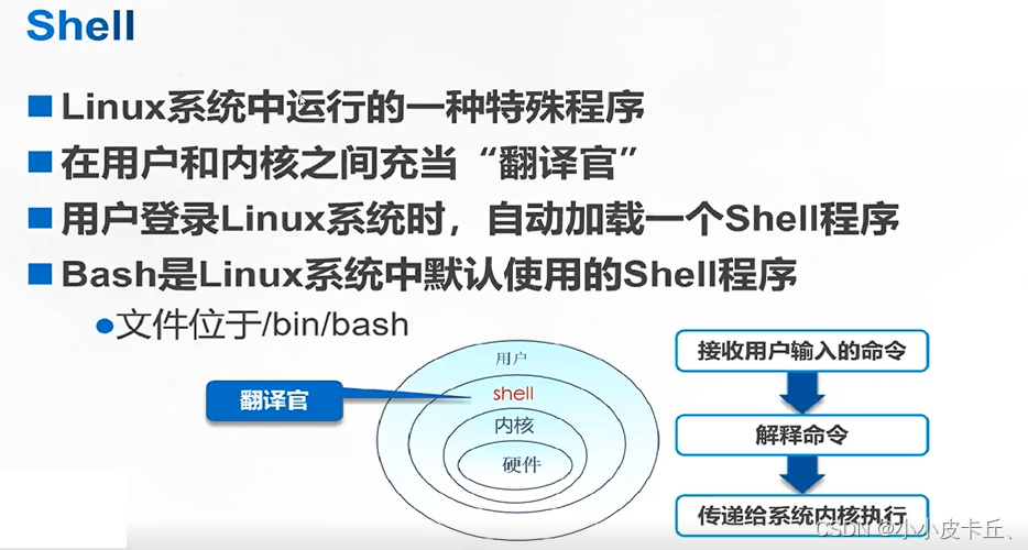 Linux命令 Pwd Cd Ls 小小皮卡丘 的博客 Csdn博客