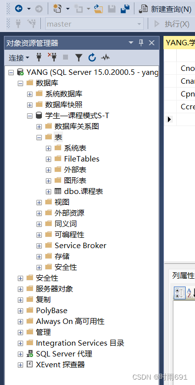 SQL Server详细使用教程(包含启动SQL server服务、建立数据库、建表的详细操作) 非常适合初学者