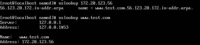 Centos8配置DNS服務